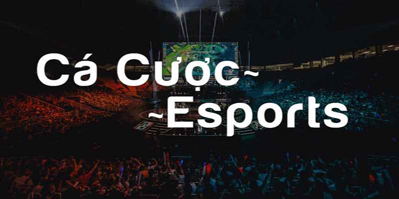 Đôi nét về cá cược Esport bạn cần biết